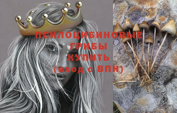 PSILOCYBIN Осинники